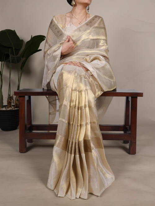 Tissue Organza Saree