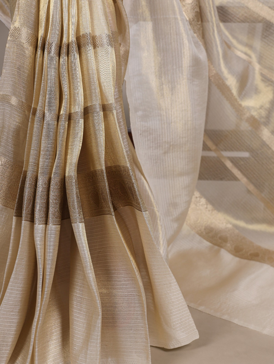 Tissue Organza Saree